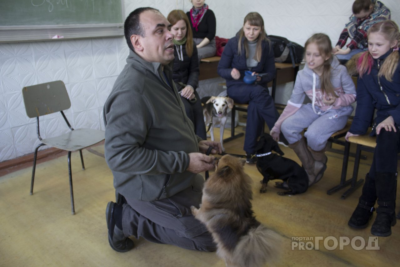 «Не хотели отпускать кинолога»: отчет с мастер-класса для владельцев собак в Нижнем