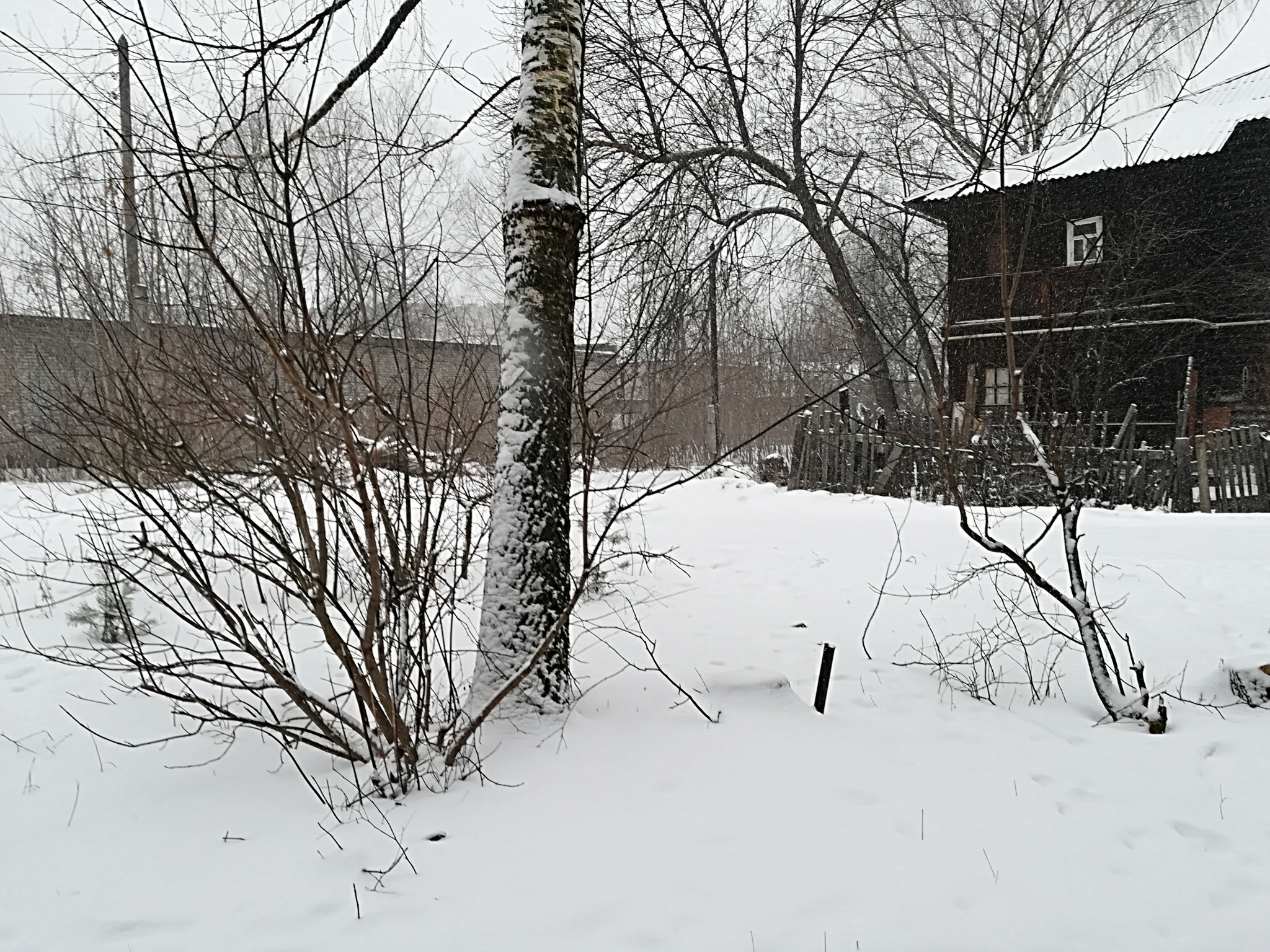 Снег ожидается в Нижнем Новгороде 12 и 13 января