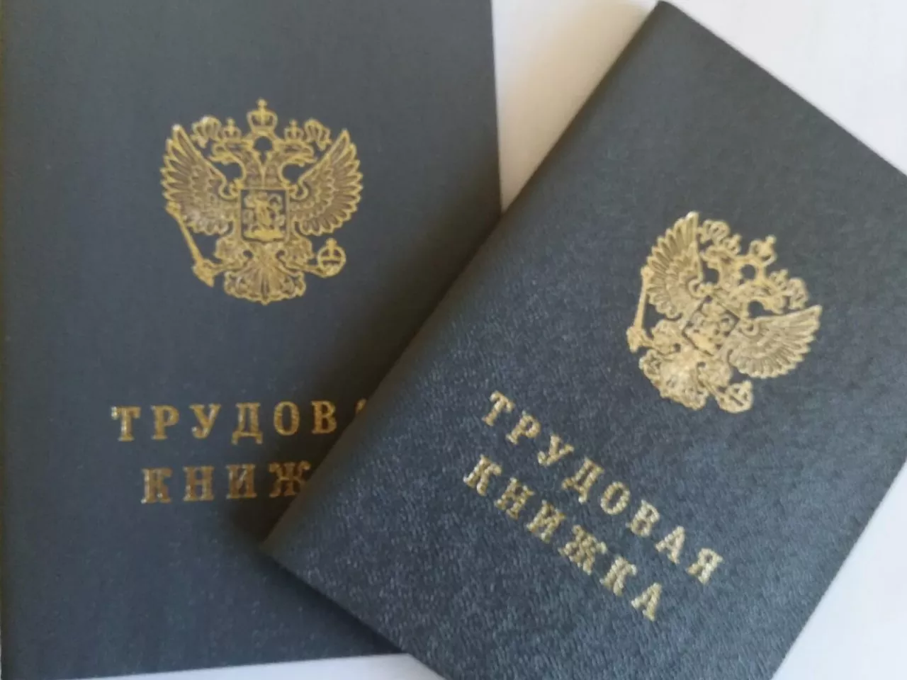 Фото к статье: Как правильно: новые правила увольнения работников появятся с 1 февраля