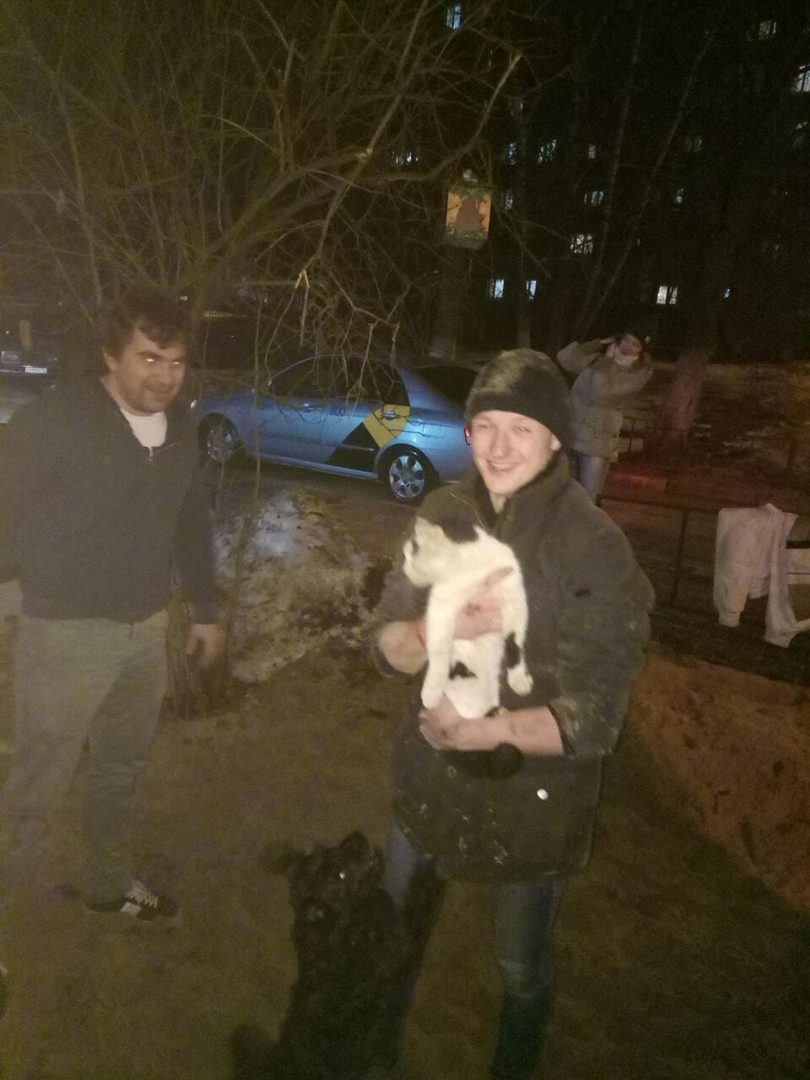 «Счастлив, но очень худой»: нижегородцы спасли кота, который был замурован бетонной плитой (ФОТО, ВИДЕО СПАСЕНИЯ)