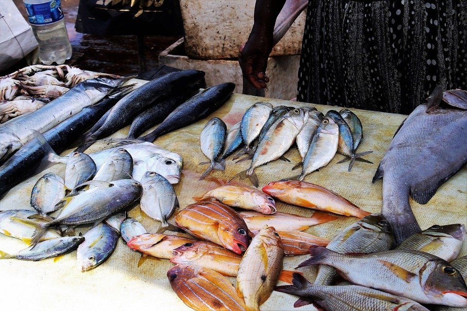 Производство рыбы в Нижегородской области выросло на 54 тонны