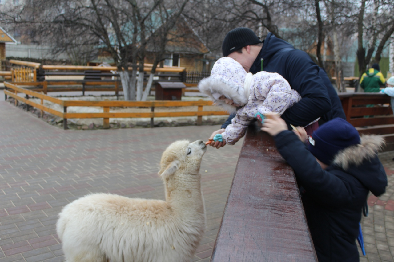 «Не дадим пропасть и погибнуть»: что будет с нижегородским зоопарком «Лимпопо»