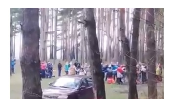 Нижегородцы провели ритуальный хоровод в Стригинском лесу в нарушение самоизоляции (ВИДЕО)
