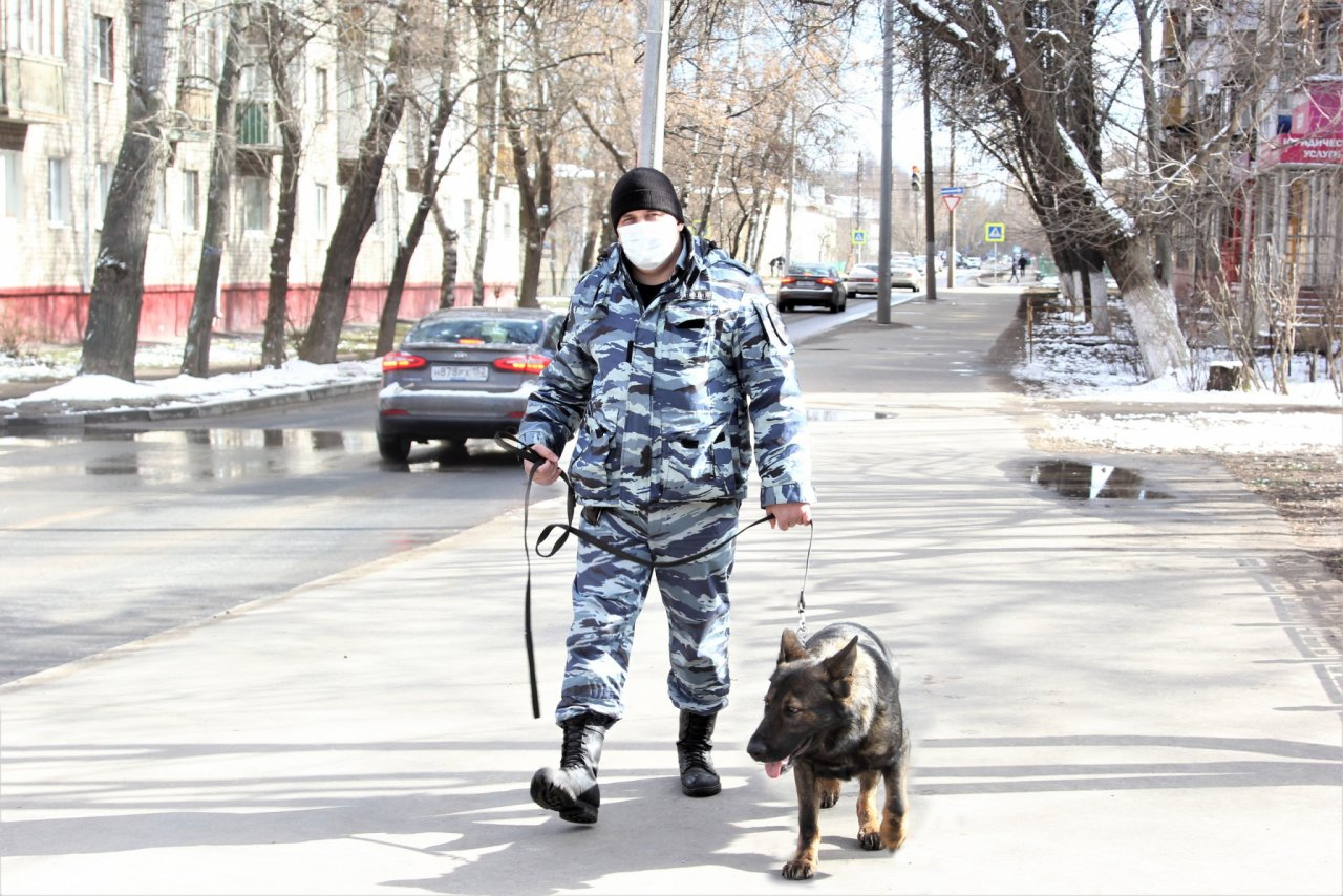 Будет ли отменен режим самоизоляции в Нижегородской области с 12 мая?