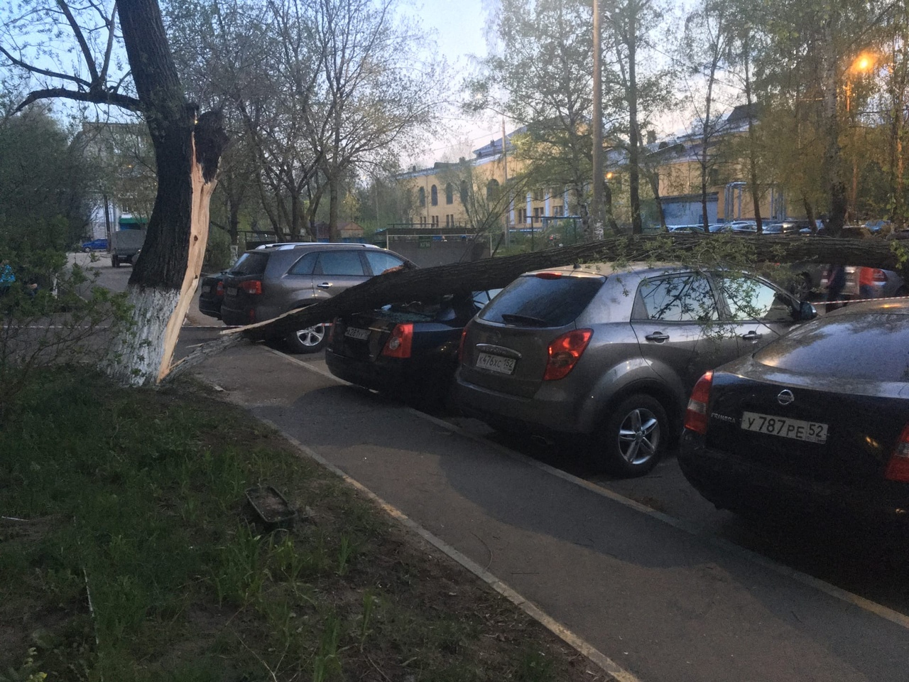 Дерево рухнуло на две машины в Ленинском районе Нижнего Новгорода