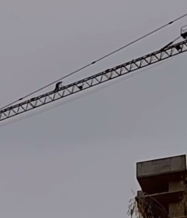 Отчаянный нижегородец занялся гимнастикой на стреле башенного крана (ВИДЕО)