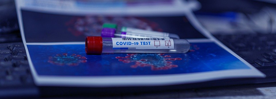 «Еще бы противогазы на детей одели»: в пунктах сдачи ЕГЭ могут появиться тесты на коронавирус