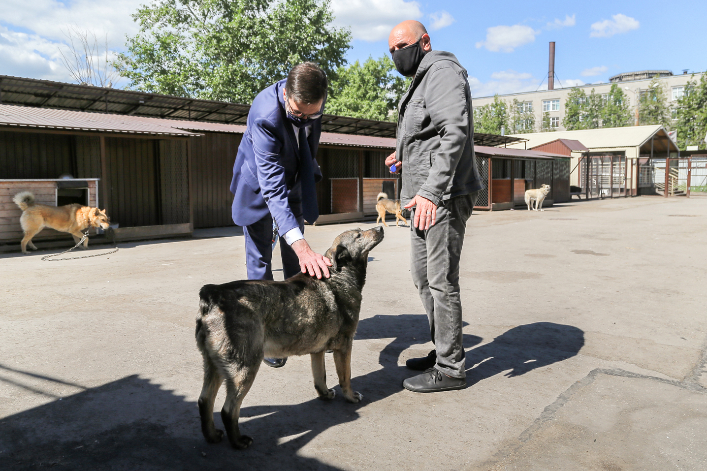 В Нижнем Новгороде открылся первый госпиталь на колесах для животных