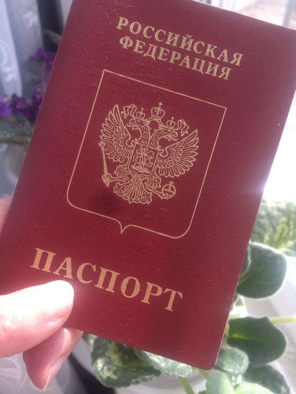 Что сможет сделать мошенник, завладевший данными вашего паспорта