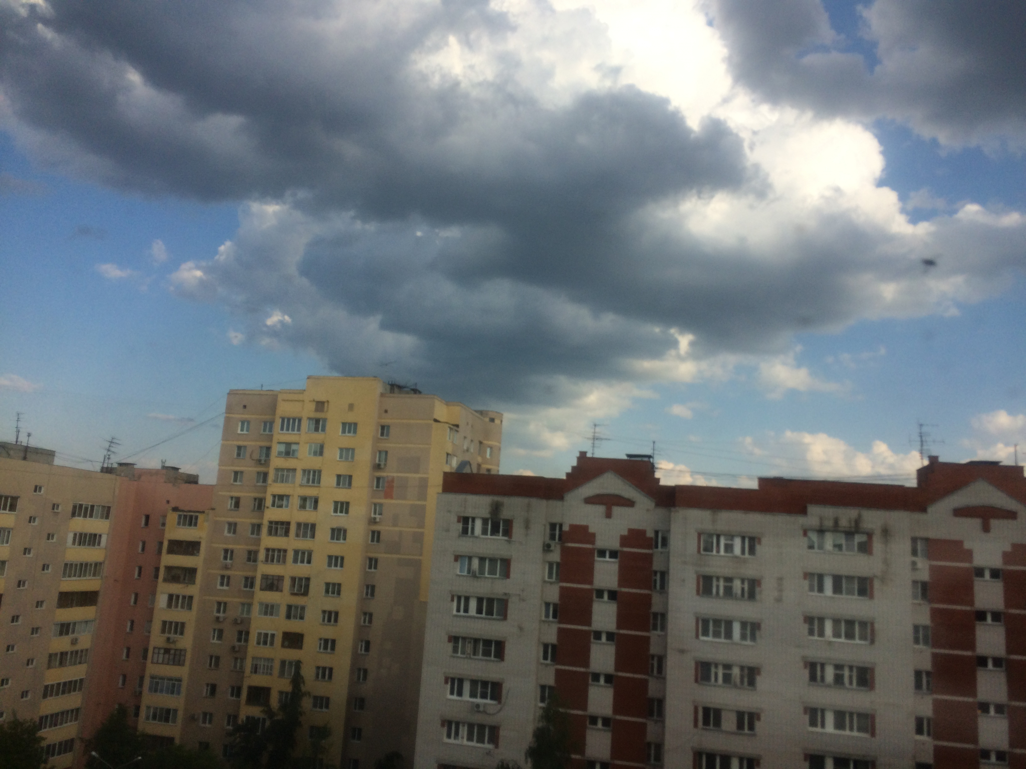 Штормовой ветер, грозы и ливни с градом накроют Нижегородскую область