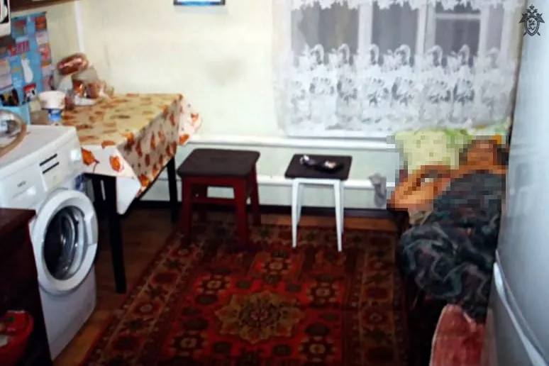 Фото к статье: 40-летний мужчина зарезал родную мать в Нижегородской области