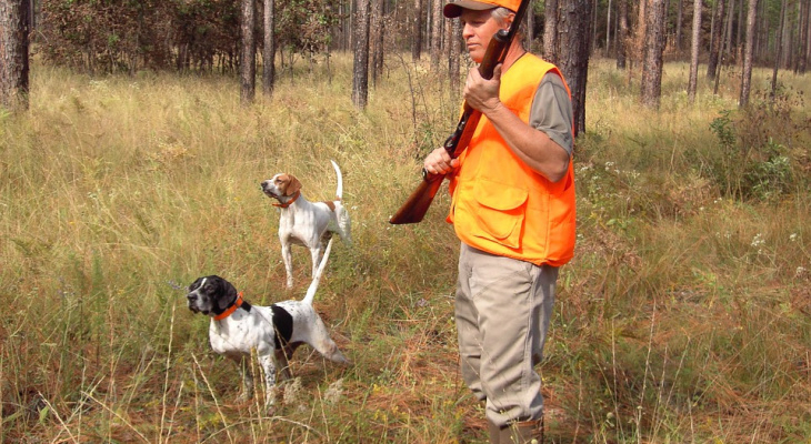 Сезон охоты на полевую и степную дичь открывается в Нижегородской области 5 августа