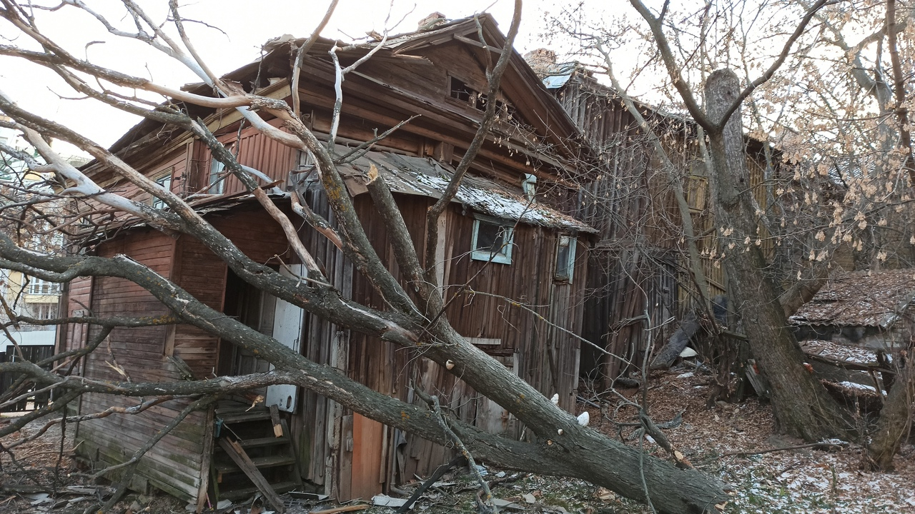 «Жить с дырой на крыше?!». Дерево проломило крышу жилого дома в центре Нижнего Новгорода