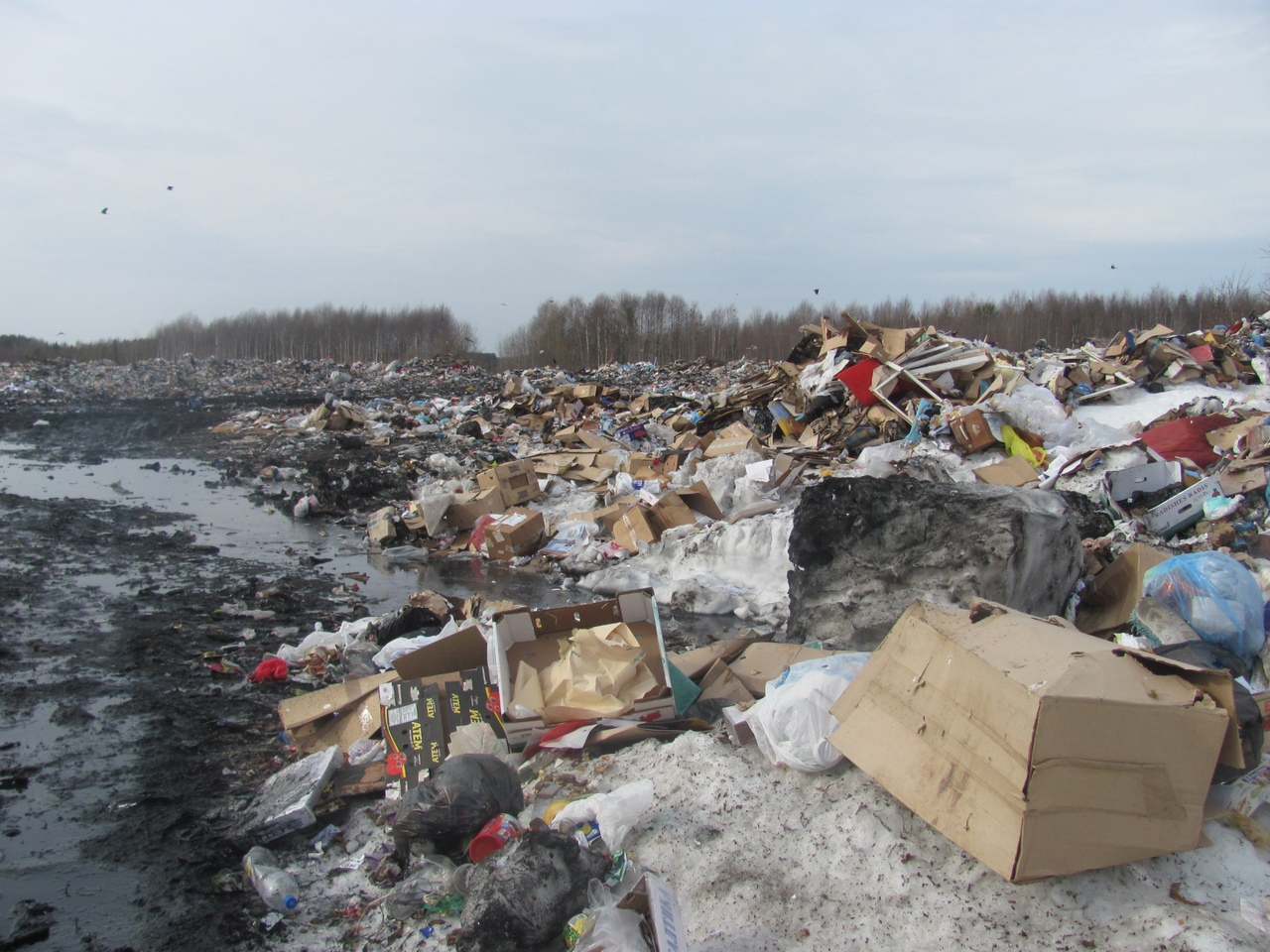 Виновных в горении свалки бытовых отходов в Богородске не выявили