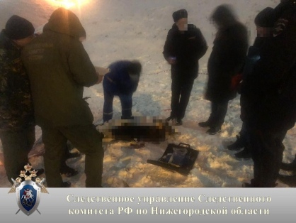 Нижегородец расстрелял жену и покончил с собой в Нижегородском районе