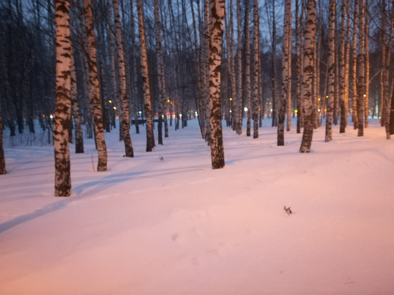 Температурные качели и снег ожидаются в Нижнем Новгороде на последней неделе 2020 года