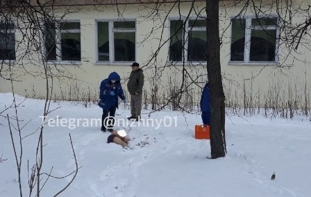 Тело полуголого мужчины нашли под окнами жилого дома в Дзержинске