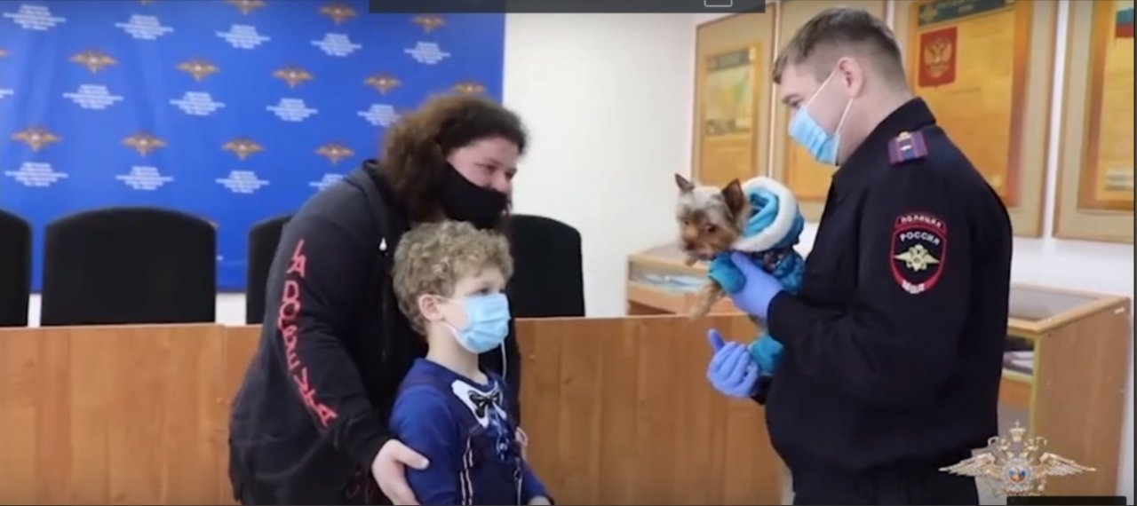 Нижегородские полицейские вернули 6-летнему мальчику похищенного щенка 