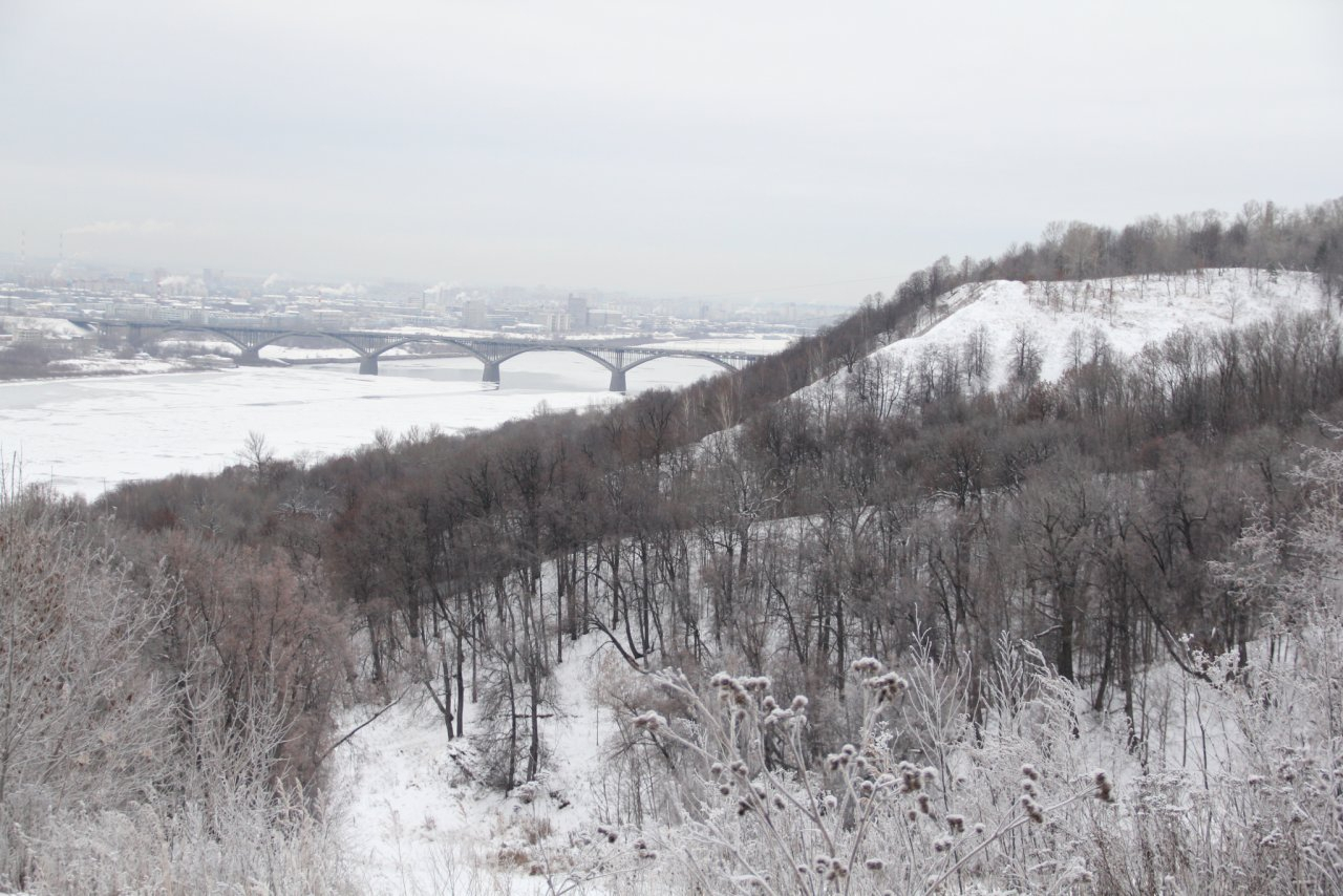 УФАС признал недобросовестным нижегородского подрядчика Губернаторского сада