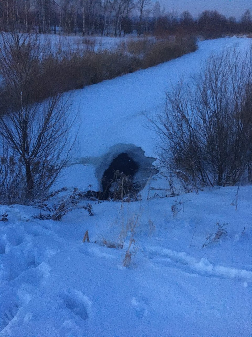 Трое мальчиков провалились под лед в Кстовском районе 2 февраля: один погиб