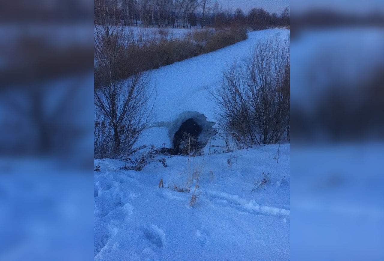 Появились подробности провала троих детей под лед на пруду в Кстовском районе