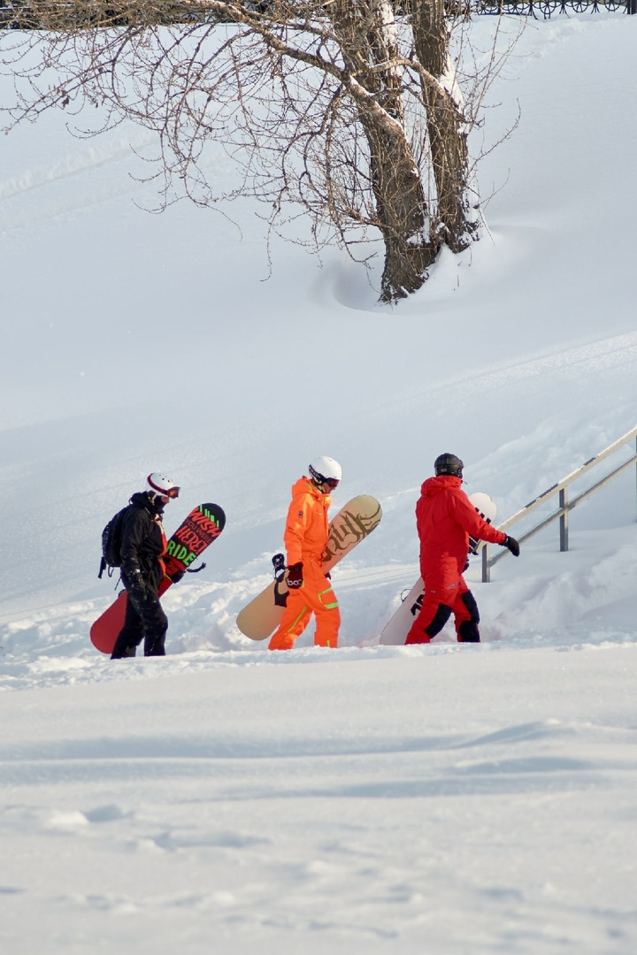 «Кайфуют от снега»: сноубордисты устроили фрирайд на набережной Федоровского (ФОТО, ВИДЕО)