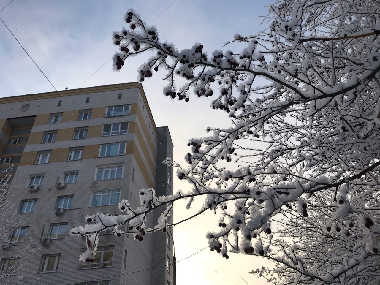 Холода до - 25 градусов Цельсия придут в Нижегородскую область в выходные