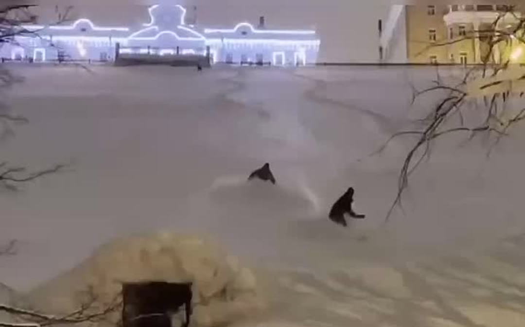 Фрирайд по-нижегородски: сноубордисты покоряют городские склоны (ВИДЕО)