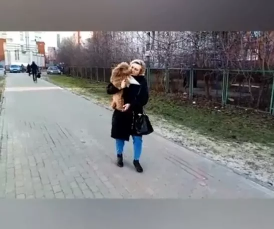 Фото к статье: Нижегородцам заплатят 50 тысяч рублей за поимку потерянной собаки