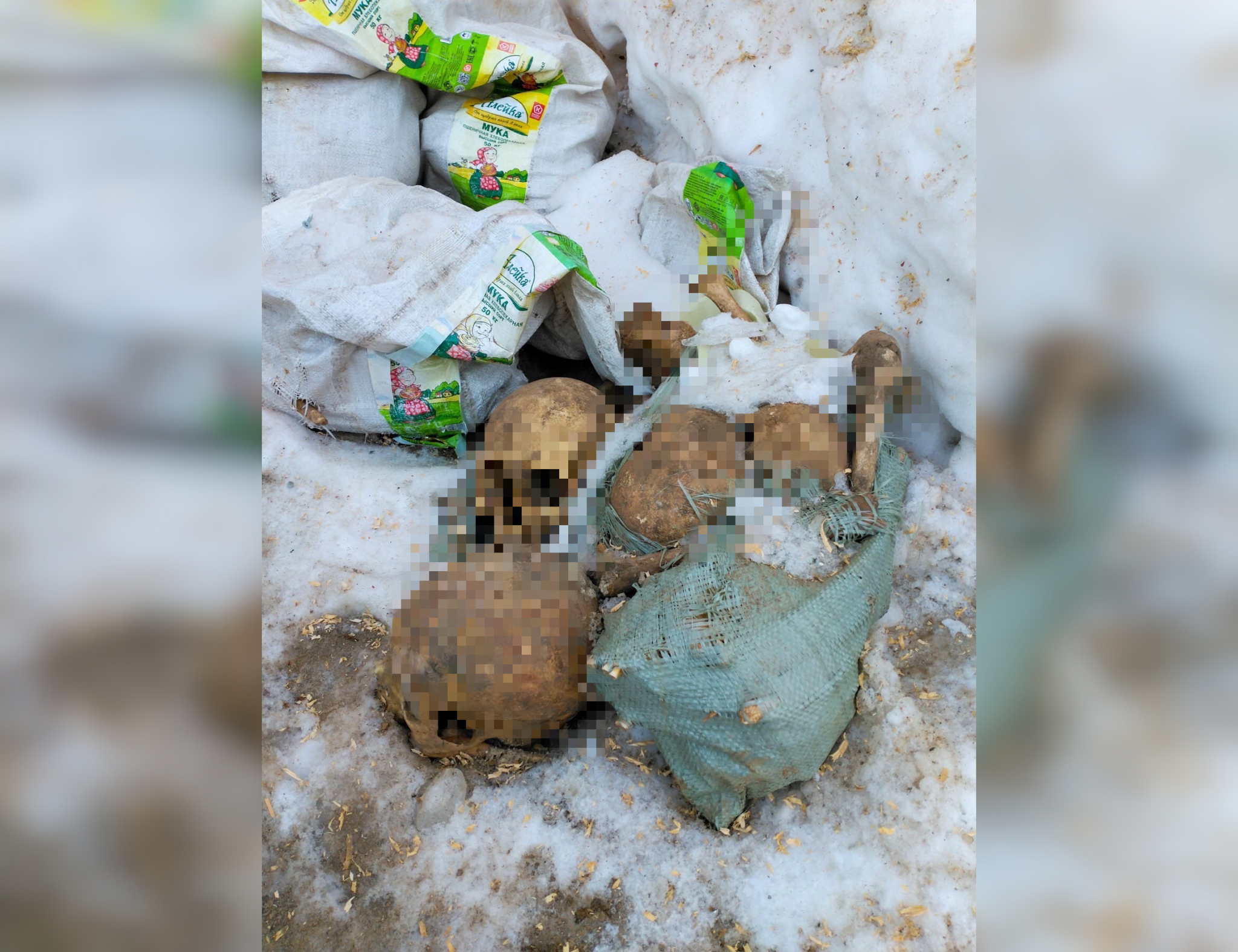 Человеческие черепа и кости в кремле нашёл житель Нижнего Новгорода