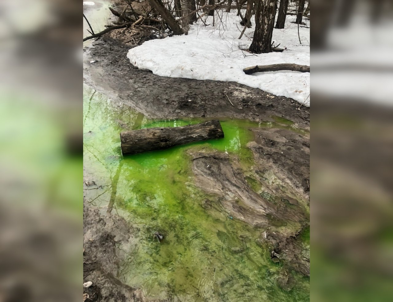4 снимка кислотно-зеленой реки в Нижегородской области, шокировавших Сеть
