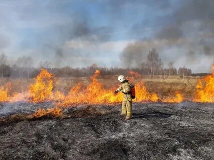 В нижегородском МЧС рассказали о первых возгораниях сухой травы в этом году