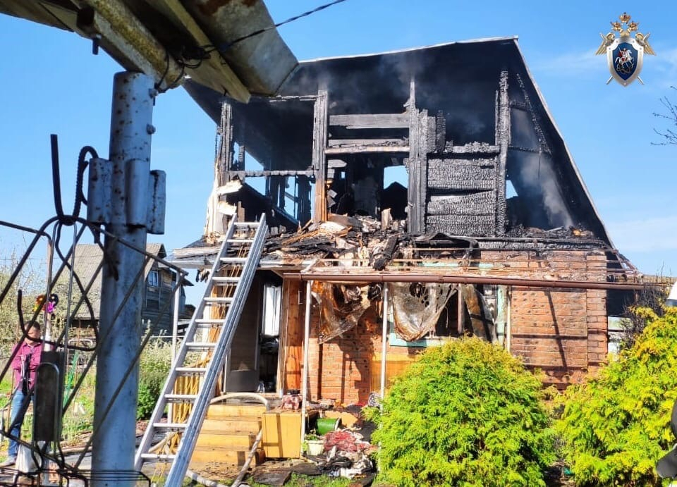 Женщина и 4-х летний ребенок погибли при пожаре в Нижегородской области