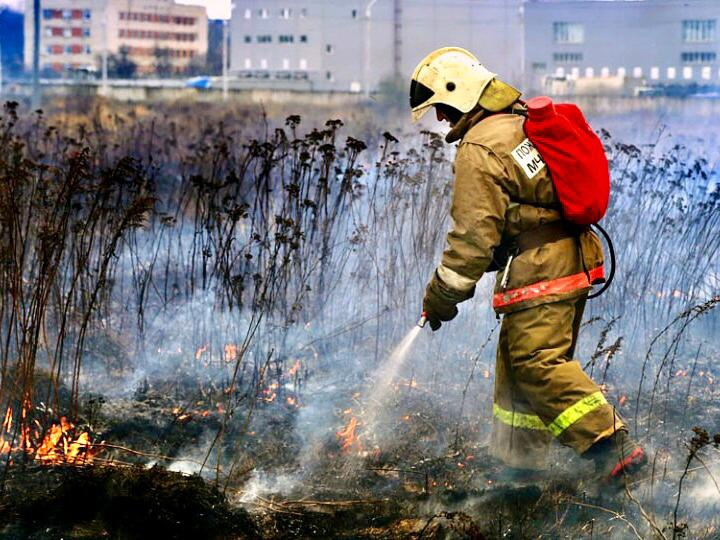 4 класс пожароопасности лесов и торфяников установили на территории Нижнего Новгорода