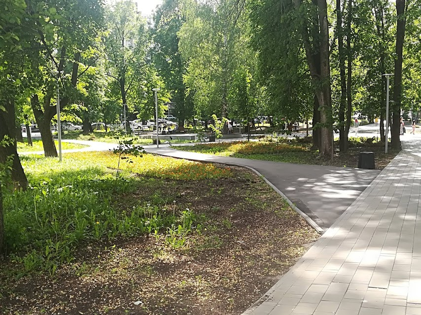 Дожди и прохлада уступят место солнцу и теплу в Нижнем Новгороде