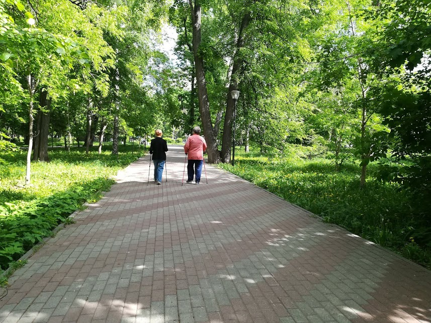 5 районов Нижнего Новгорода, где жителей атакуют клещи