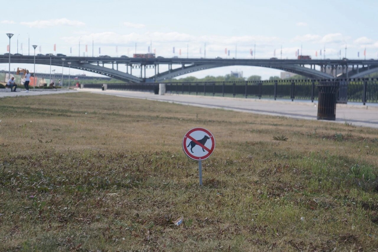 Выгуливать собак запретили на Нижневолжской набережной