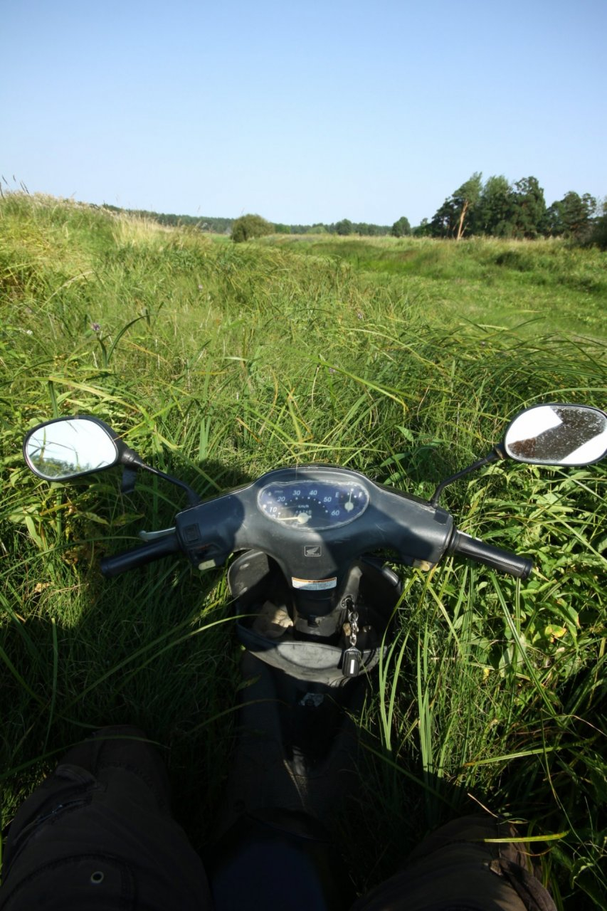 Смертельное ДТП с мотоциклистом произошло в Нижегородской области
