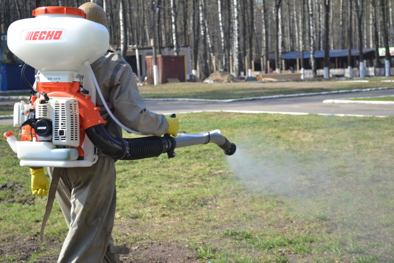 В каких районах Нижегородской области чаще всего присасываются клещи