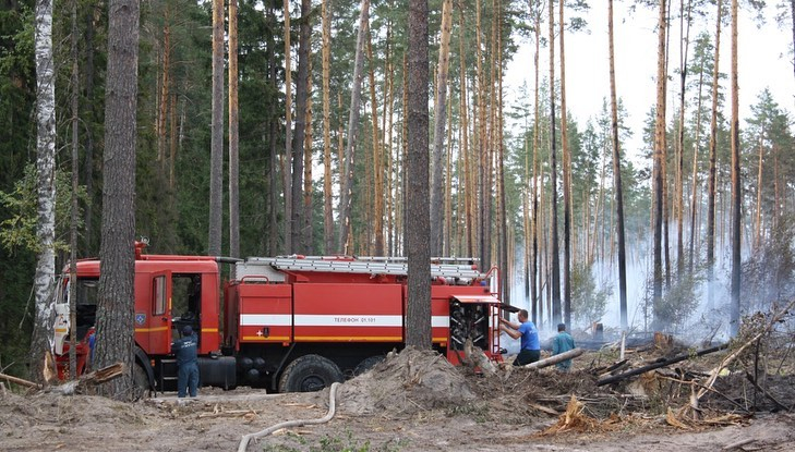 Режим ЧС ввели в Вознесенском и Дивеевском районах из-за пожаров в Мордовском заповеднике