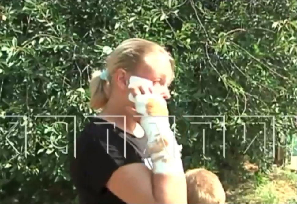 В Лыскове домашняя охотничья собака покалечила двух детей и женщину