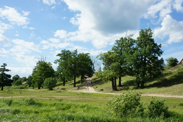 Изувеченное ранами тело пастуха нашли в Воскресенском районе