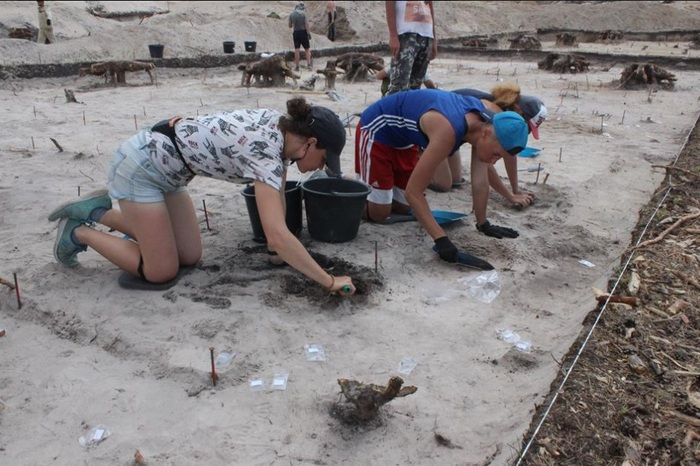 Следы древних поселений обнаружили на стройке трассы в Нижегородской области