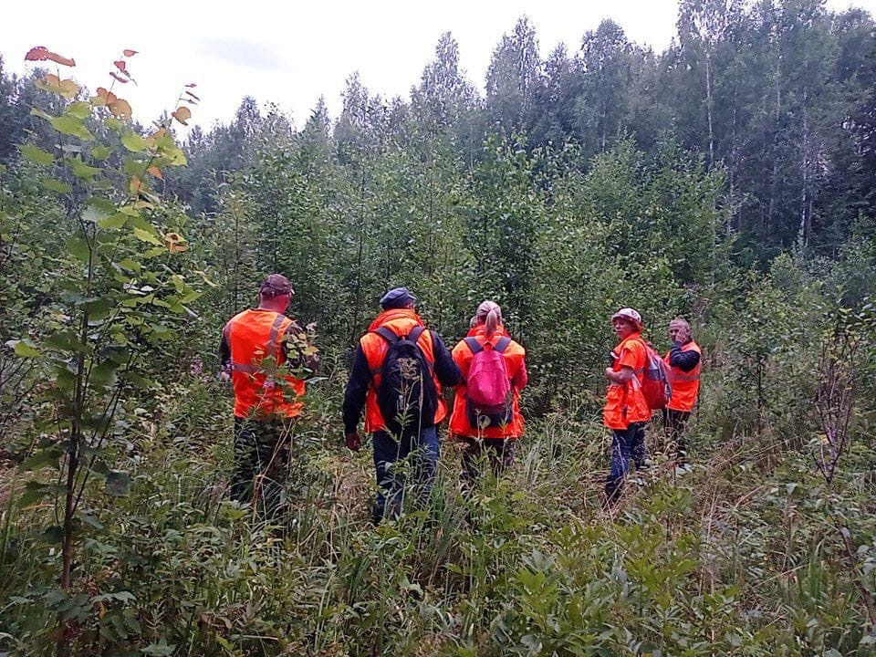 Заблудившихся в лесу женщин нашли в Нижегородской области