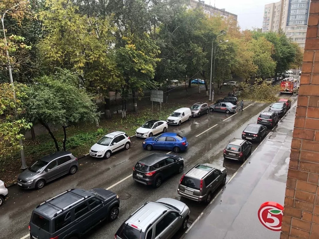 Фото к статье: Дерево упало на автомобиль и перекрыло дорогу в Нижнем Новгороде
