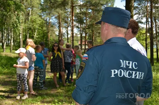 Фото к статье: В Нижегородской области женщину во время поисков нашли мертвой в лесу