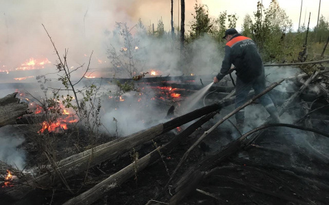 Нижегородские спасатели тушат пожар в заповеднике Мордовии. 6 ярких кадров