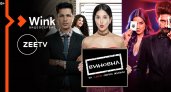 В Wink доступна коллекция новейших индийских фильмов и сериалов от Zee, которая удивит даж
