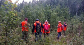 Пропавшего в лесу Нижегородской области мужчину нашли погибшим