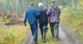 Грибника искали сутки в лесу и нашли возле болота в Нижегородской области